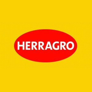HACHA         HERRAGRO    OJO PLANO        3&quot; 4309